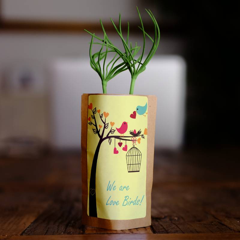 Nurture Our Roots with 100 Trees – “We Are Love Birds”